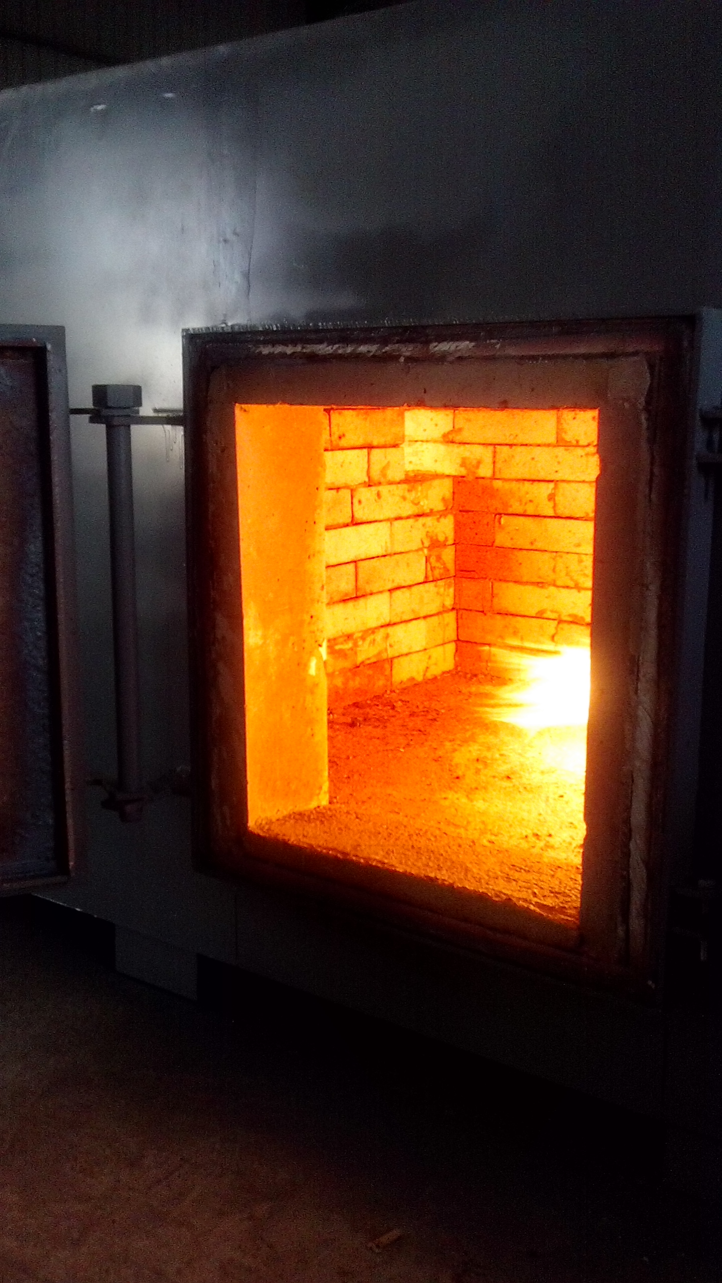 50 kg/hour incinirator usa, animal incinerator 50kg