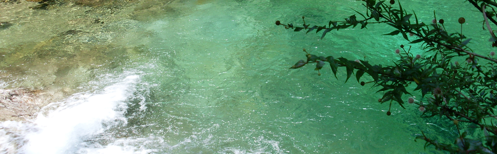 Hospital Incinerator